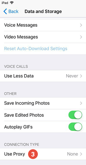 Proxy Settings on iOS step 2